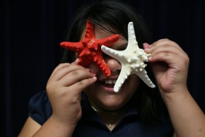 two starfish